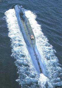 鱘魚級攻擊型核潛艇