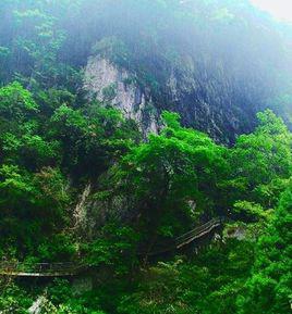 臥龍山[山東省臨沂市山峰]