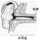 外耳道栓