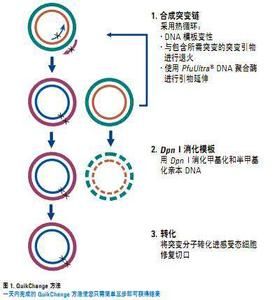 點突變