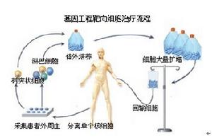 治療機理圖