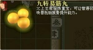 九轉易筋丸