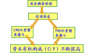 資本價值構成