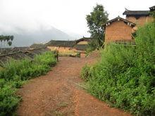 進村道路