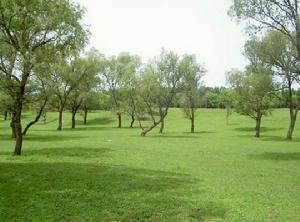 沅江德群莊園