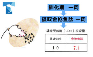乳酸脫氫酶LDH活性