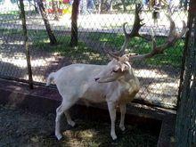 錦州動物園