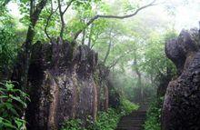 四川美女峰國家森林公園