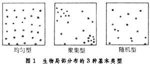 生物分布