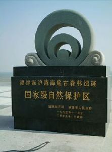 福建晉江深滬灣國家地質公園