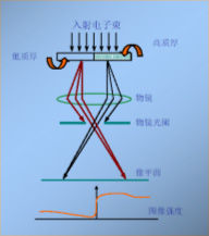 （圖）透射電鏡