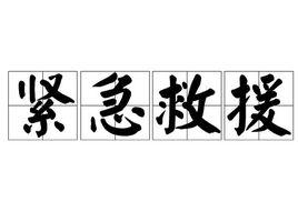 緊急救援[詞語]