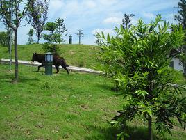 樊家沖村[湖北省黃岡市英山縣孔家坊鄉樊家沖村]