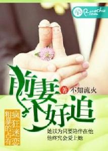 前妻不好追[若初文學網小說]