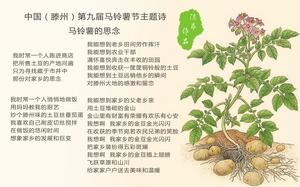 陳昂《馬鈴薯的思念》