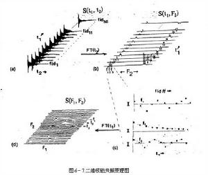 二維核磁共振譜[低能電磁波與暴露在磁場相互作用]