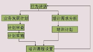 所羅門型培訓模式