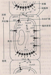 極性