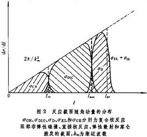 重離子核物理