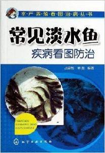 常見淡水魚疾病看圖防治