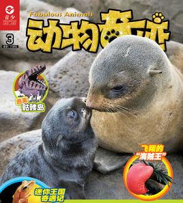 動物奇蹟[雜誌]