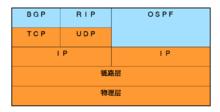 動態路由協定在協定棧中位置