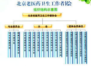 北京老醫藥衛生工作者協會組織結構示意圖