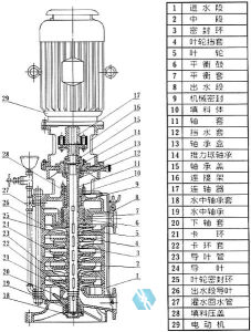DL多級泵結構圖