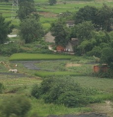 居蕉村