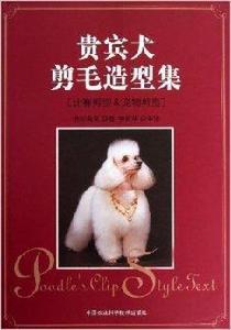 貴賓犬剪毛造型集