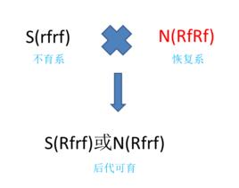 恢復系