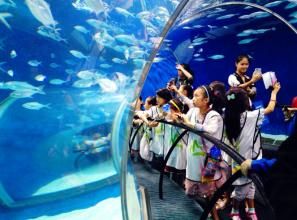 大型海洋水族館