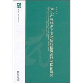 智慧財產權體系下非物質傳統資源權利保護研究