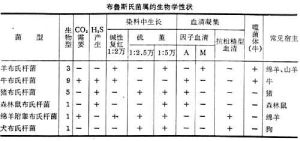 布魯斯氏菌屬