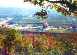 夾山寺森林公園