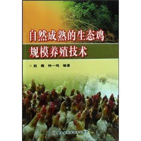 《自然成熟的生態雞規模養殖技術》