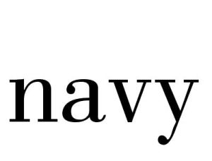 navy