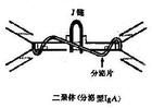 免疫球蛋白A