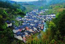 坪坑村[福建省寧德市壽寧縣托溪鄉坪坑村]