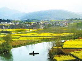 湧泉鄉[江西省九江市九江縣湧泉鄉]