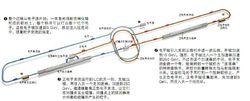 國際直線對撞機運行示意圖