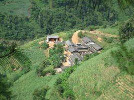 大坪自然村[雲南省彝良縣柳溪鄉大坪自然村]