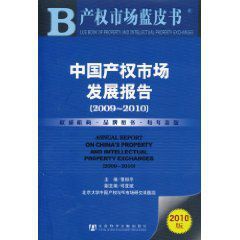 中國產權市場發展報告