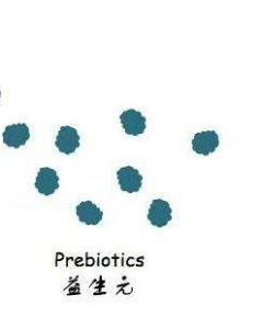 益生元