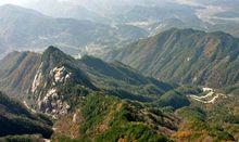 靈芝村[湖北省黃岡市英山縣南河鎮]