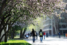 天津大學仁愛學院