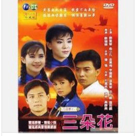 三朵花 華視普版DVD