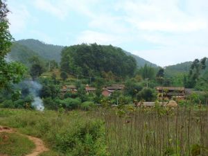 刀戈大田自然村