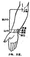 （圖）少海穴
