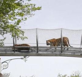 費城動物園